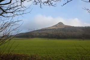 rosebury topping 1.jpg